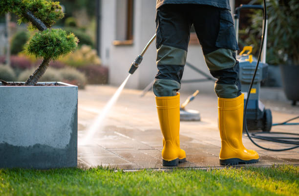Best Pressure Washing Near Me  in Pioneer Village, KY